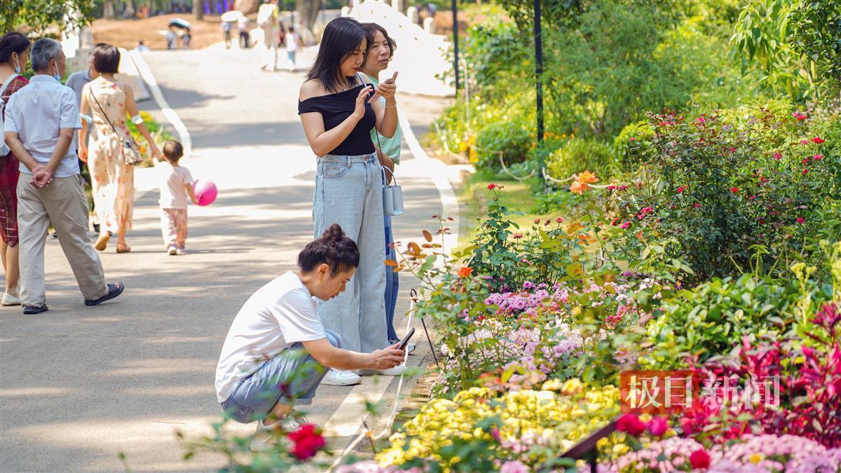 免费约局的麻将